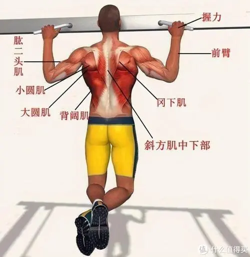 网球拍手柄怎么看型号